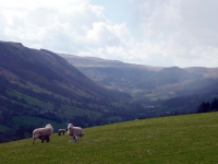 Looking along the Dyffryn Crawnon valley from Tor-y-Foel