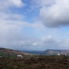 Brecon Beacon horses in the view looking east