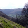 Looking along Dyffryn Crawnon valley