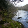 The River Usk - with water