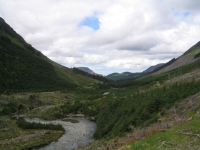 Coast to Coast - Day 2 - deforestation at the top of Ennerdale valley