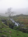 Coast to Coast - Day 3 - a tree in the mist looms over a small waterfall