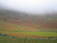 Coast to Coast - Day 3 - misty ridges, but the bracken was glowing