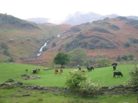 Coast to Coast - Day 3 - view at the start of the Grasmere valley