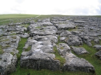 Coast to Coast - Day 6 - first bit of limestone pavement