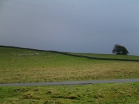 Coast to Coast - Day 6 - top of Orton Scar