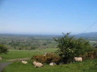 Coast to Coast - Day 8 - the view back over Kirkby Stephen