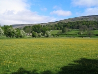 Coast to Coast - Day 10 - meadow near the river Swale