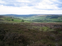 Coast to Coast - Day 13 - the valley to the south of Glaisdale Moor