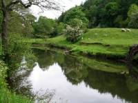 Coast to Coast - Day 14 - the river out of Glaisdale