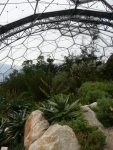 Temperate biome