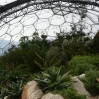 Temperate biome