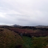 Bodmin Moor