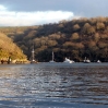 The River Fowey