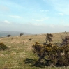 Bodmin Moor near Minions