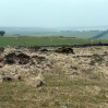 Bodmin Moor near Minions