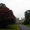 Tregothnan: The House at the Head of the Valley - and really long drive