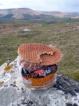 Welsh Toffee Waffles - normally have a short lifespan in the wild as they are often bottom of the food chain