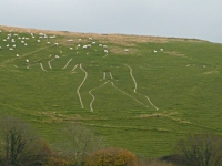 The Cerne Abbas Giant