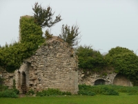 Remains of an old abbey