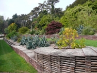 Ventor Botanic Garden, IoW