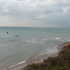 Hanover Point Fossil Forest emerging after high tide