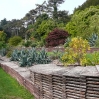 Ventor Botanic Garden, IoW