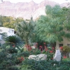 Kibbutz Ein Gedi