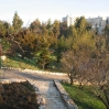 Jerusalem Botanic Garden