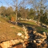 Jerusalem Botanic Garden