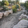 Jerusalem Botanic Garden