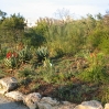 Jerusalem Botanic Garden