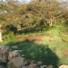 Jerusalem Botanic Garden