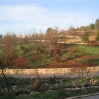 Jerusalem Botanic Garden