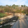 Jerusalem Botanic Garden