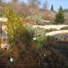 Jerusalem Botanic Garden