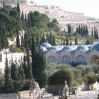 Jerusalem Old City - Garden of Gethsemane