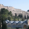 Jerusalem Old City - Garden of Gethsemane