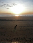 The sunrise over the beach at Dymchurch at the start of the second morning