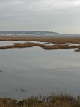 The marshland at Pegwell Bay