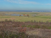 Cliffe Marshes and RSPB Reserve - no place for an airport!