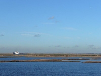 Cliffe RSPB Reserve ponds