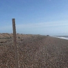 A view along the beach towards Dungeness