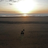 The sunrise over the beach at Dymchurch at the start of the second morning