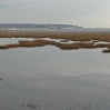 The marshland at Pegwell Bay