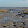 Mudflats at Halstow Creek