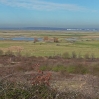 Cliffe Marshes and RSPB Reserve - no place for an airport!