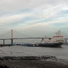 A ship unloading with the Dartford Bridge in the background