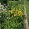 Ness Botanic Garden, June 2004