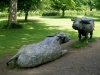 Yorkshire Sculpture Park, June 2007. Buffalo : Lying and Standing, 1988 Bronze. Elisabeth Frink